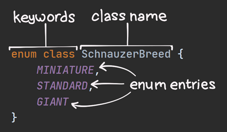 enum and class are keywords, SchnauzerBreed is the class name, and MINIATURE, STANDARD, and GIANT are the enum entries.